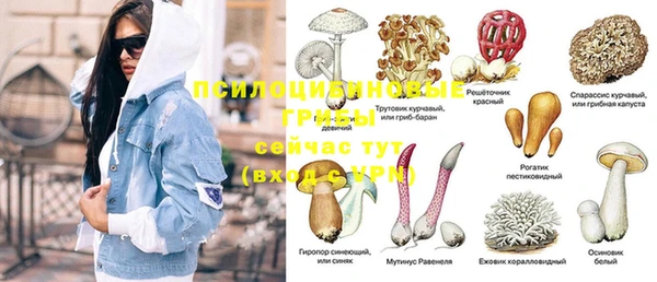 марки nbome Горняк